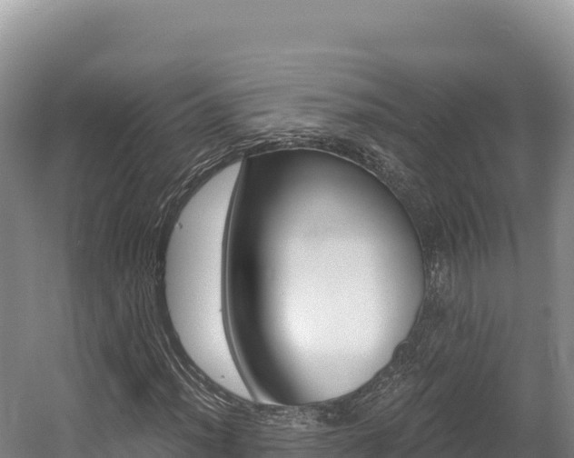 X0000056001012200508190816