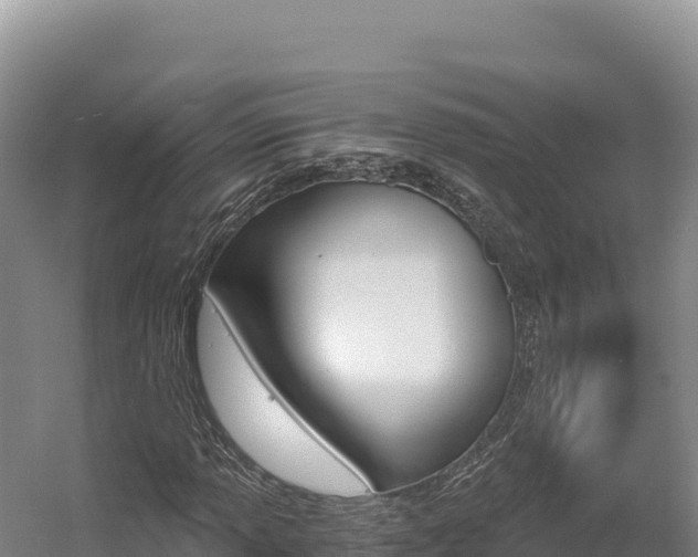 X0000056001013200508190816