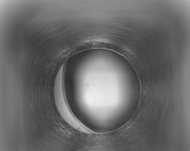 X0000056001014200508190816