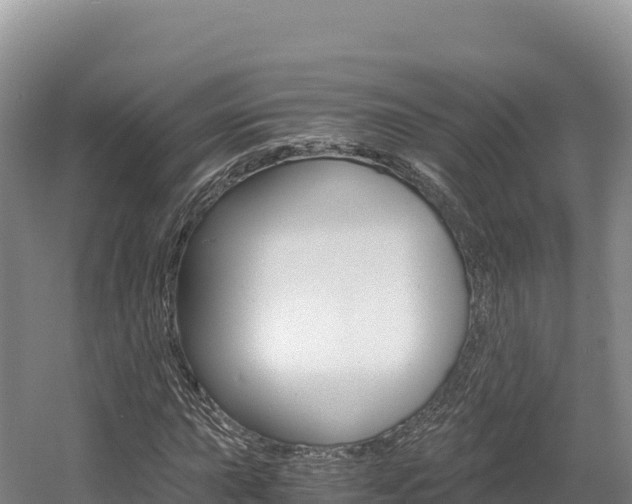 X0000056001015200508190816