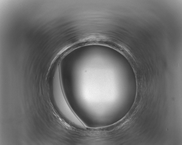 X0000056001018200508190816