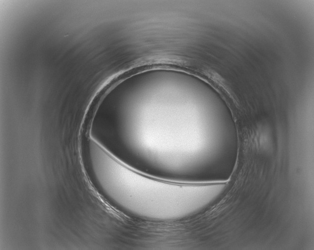 X0000056001024200508190816
