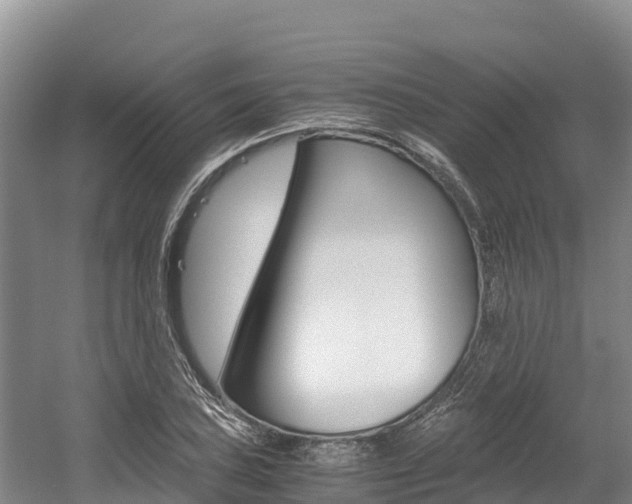 X0000056001027200508190816