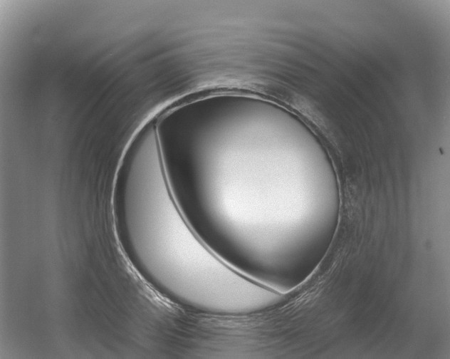 X0000056001028200508190816
