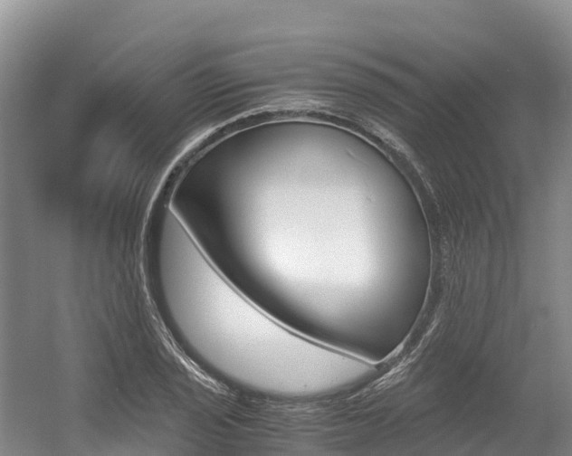 X0000056001029200508190816