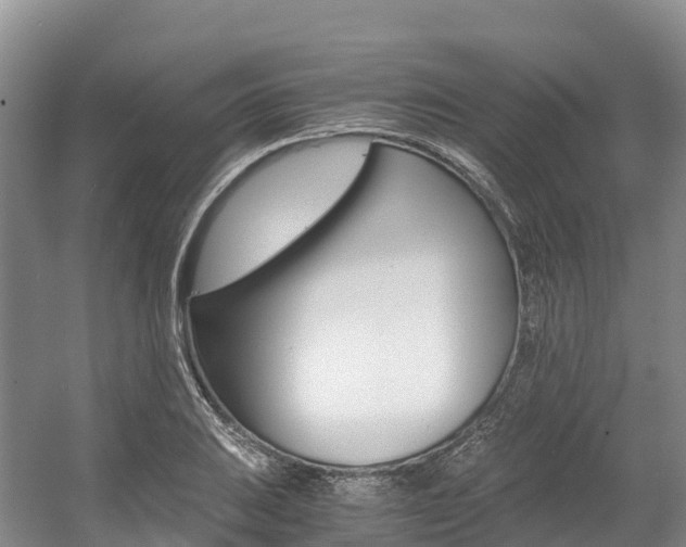 X0000056001031200508190816