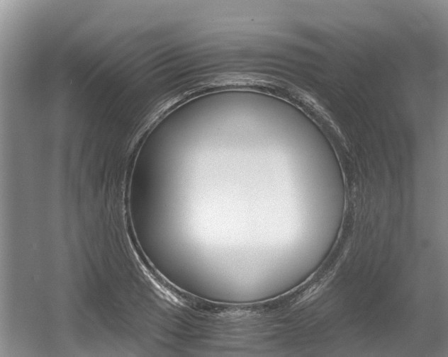 X0000056001033200508190816