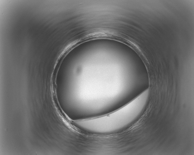 X0000056001034200508190816