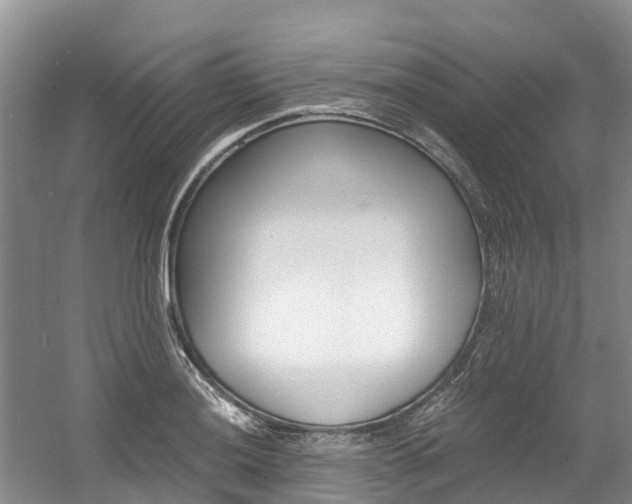X0000056001036200508190816