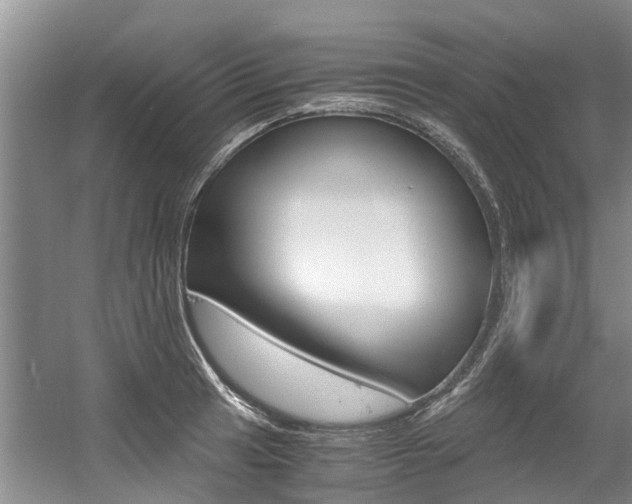 X0000056001041200508190816