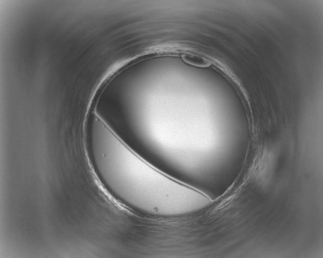 X0000056001045200508190816
