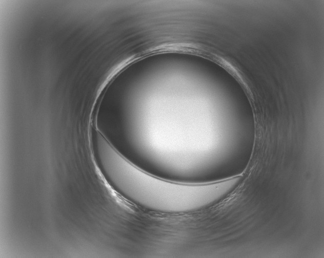 X0000056001050200508190816