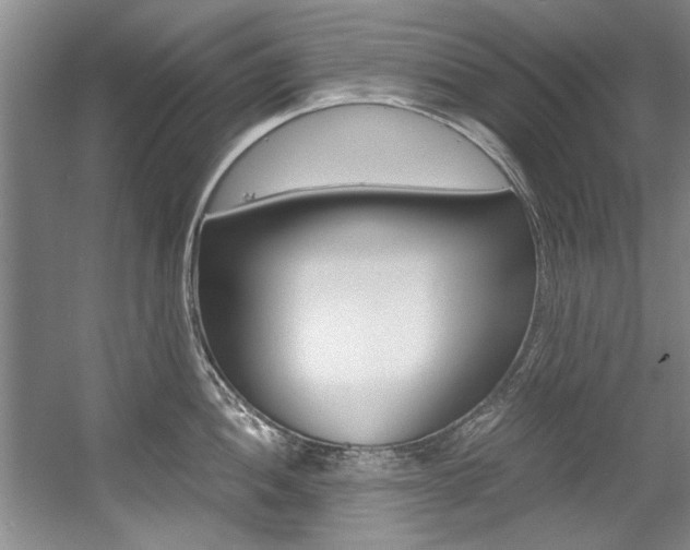 X0000056001052200508190816