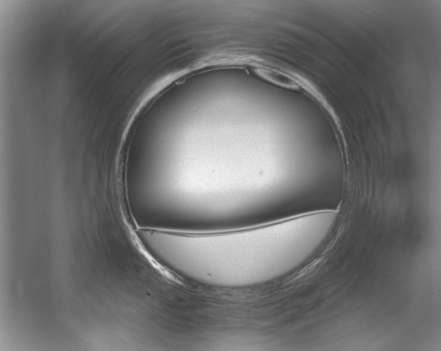 X0000056001053200508190816