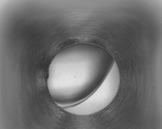 X0000056001058200508190816