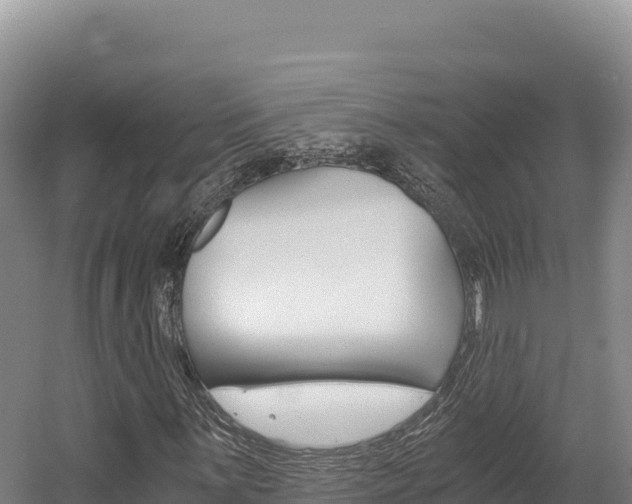X0000056001059200508190815