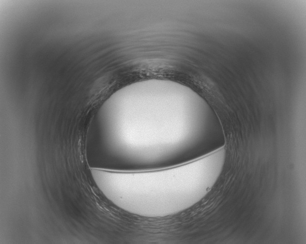 X0000056001060200508190815