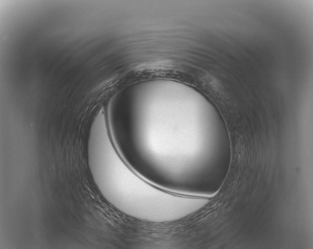 X0000056001062200508190815
