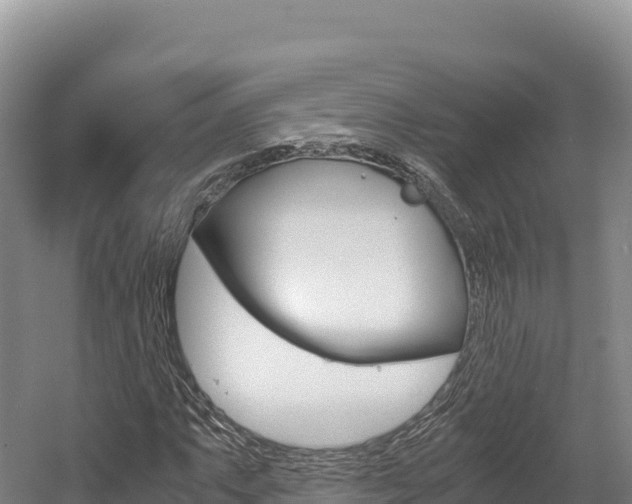 X0000056001063200508190815