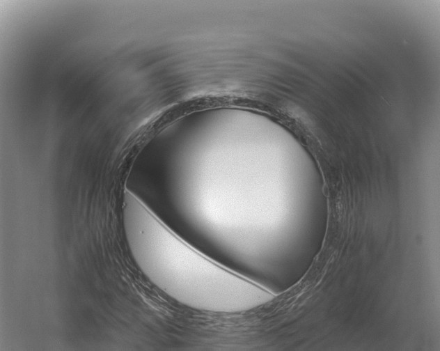 X0000056001064200508190815
