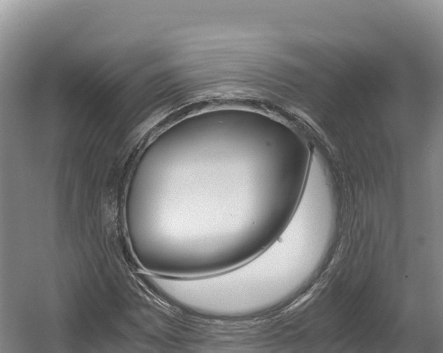 X0000056001065200508190815