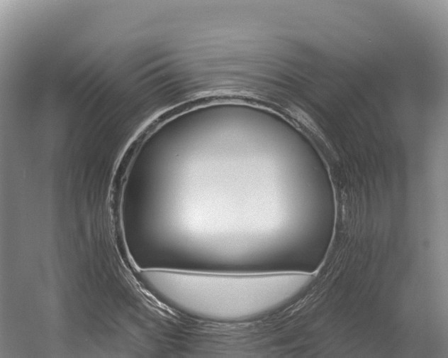 X0000056001068200508190815
