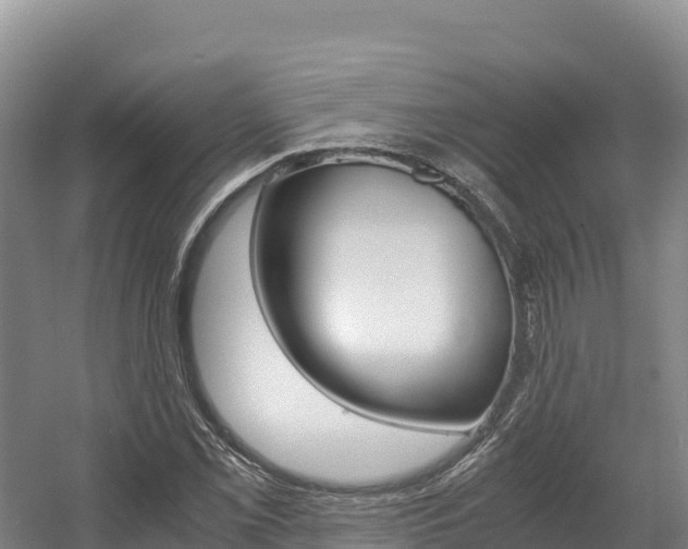 X0000056001069200508190815