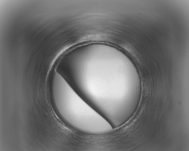 X0000056001070200508190815