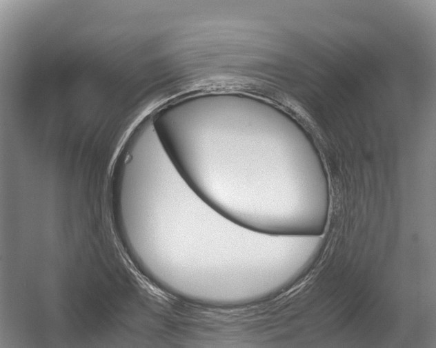 X0000056001075200508190815