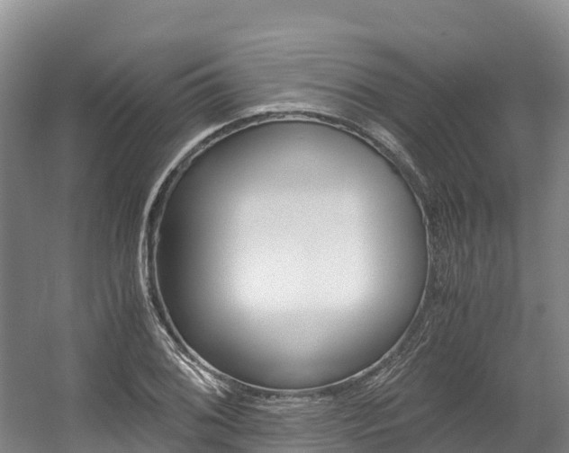 X0000056001076200508190815