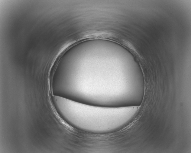 X0000056001079200508190815