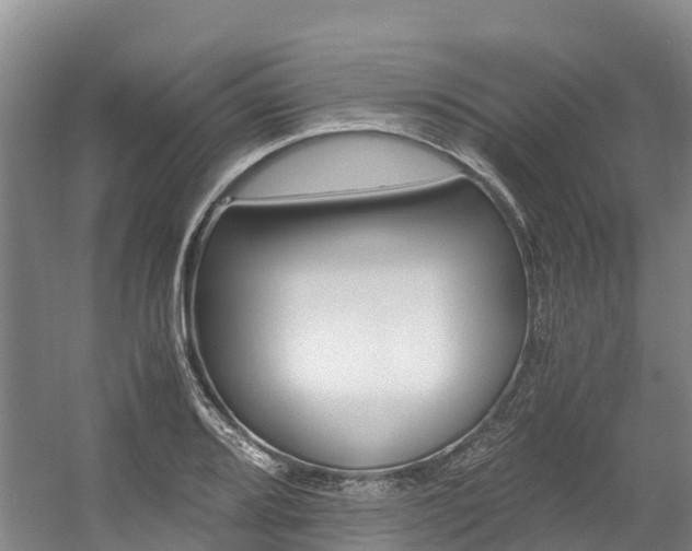 X0000056001080200508190815
