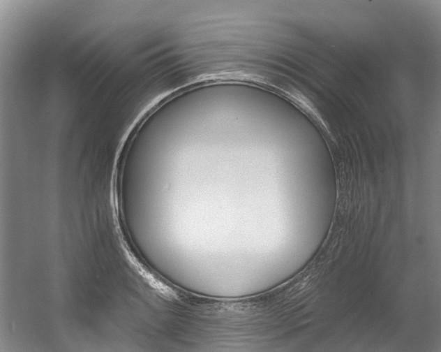 X0000056001084200508190815