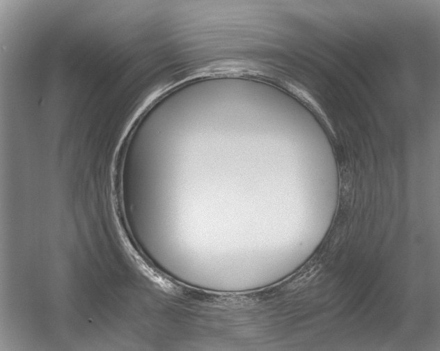 X0000056001091200508190815