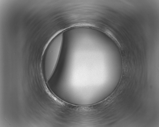 X0000056001092200508190815