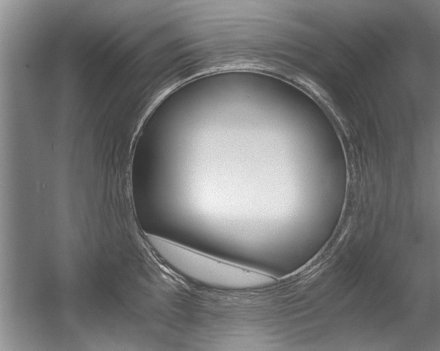 X0000056001097200508190815