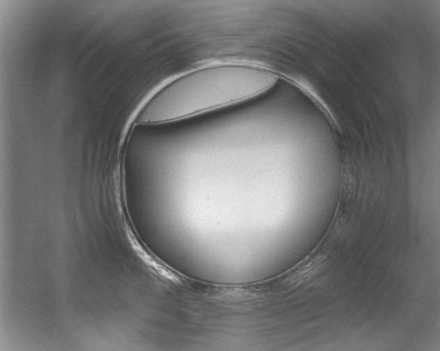 X0000056001100200508190815