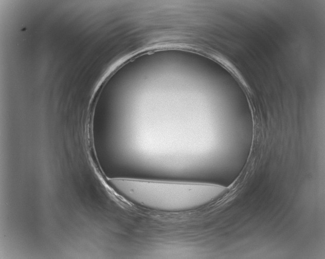 X0000056001101200508190815
