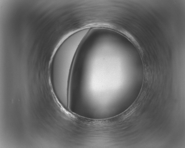 X0000056001102200508190815