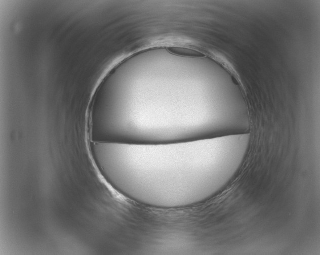 X0000056001103200508190815