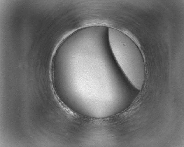 X0000056001104200508190815