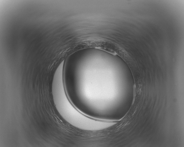 X0000056001108200508190814