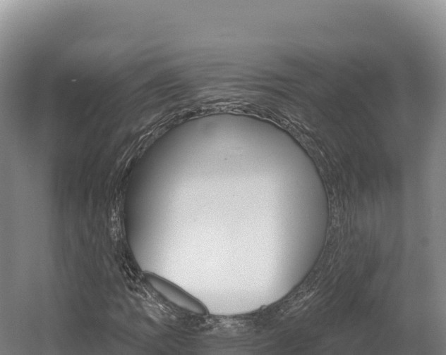 X0000056001109200508190814