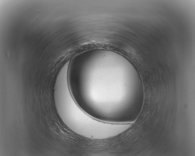 X0000056001110200508190814
