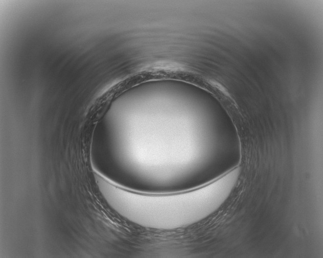 X0000056001112200508190814