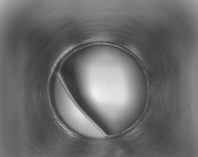 X0000056001119200508190814