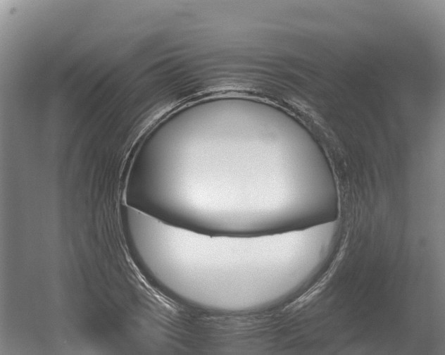 X0000056001121200508190814