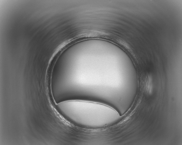X0000056001122200508190814