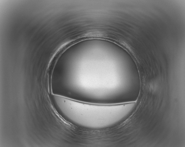X0000056001123200508190814