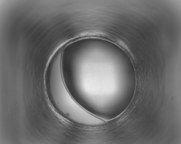 X0000056001124200508190814